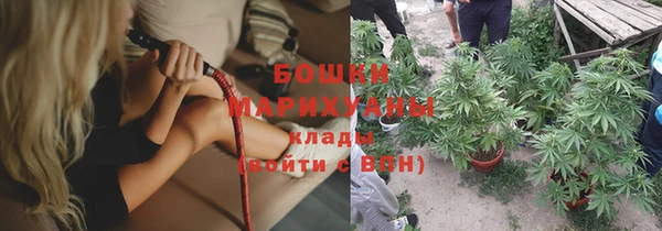 гашик Гусь-Хрустальный