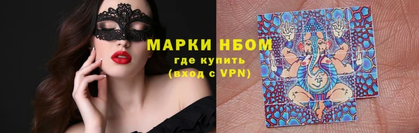 СК Алексин