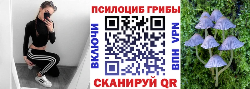 даркнет наркотические препараты  где купить наркоту  Юрга  Псилоцибиновые грибы Psilocybine cubensis 