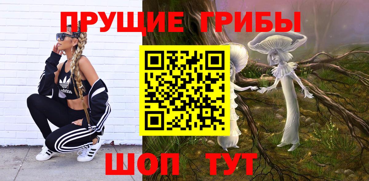 Юрга  Псилоцибиновые грибы прущие грибы  Вход с VPN 