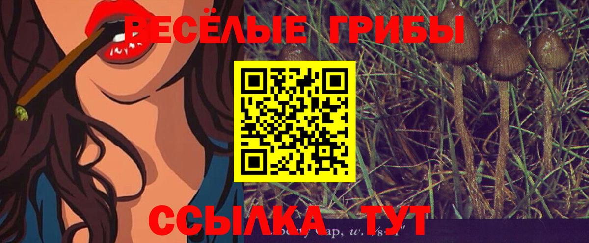 Псилоцибиновые грибы Magic Shrooms Юрга